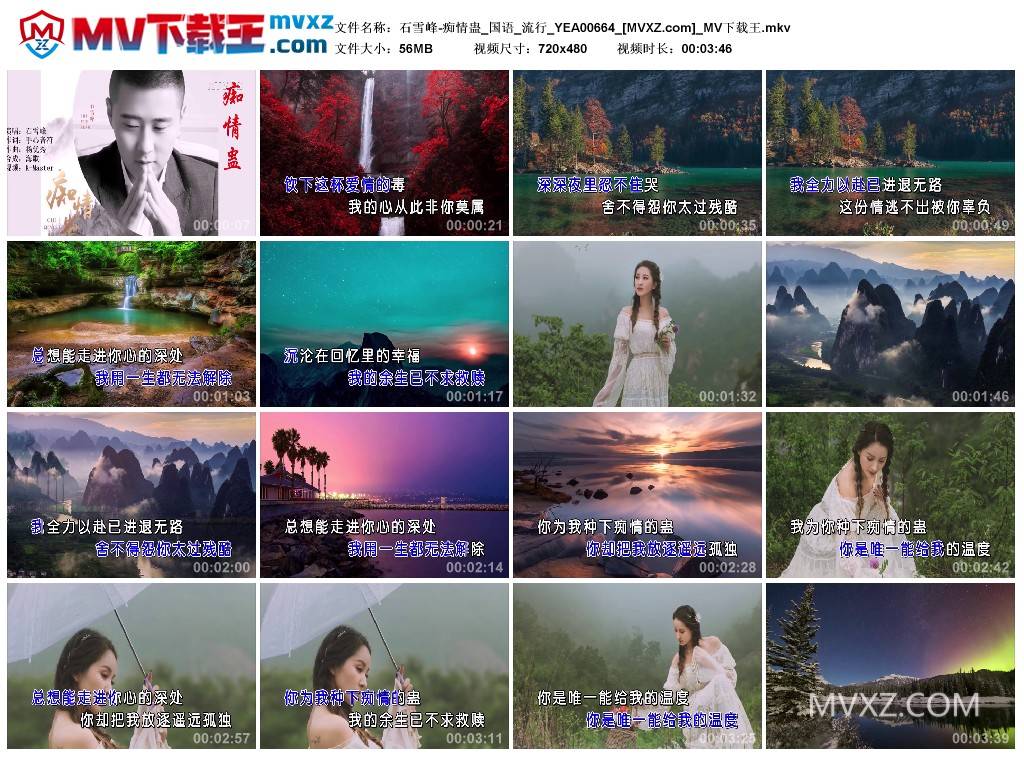 石雪峰-痴情蛊_国语_流行_YEA00664